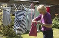 Woman taking pegs from a peg bag to hang washing Royalty Free Stock Photo