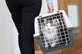 Woman Taking Pet Cat To Vet In Carrier Royalty Free Stock Photo