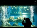 Woman taking a photo of fish