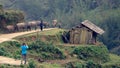 Woman taking photo of herd in Sapa Valley Royalty Free Stock Photo