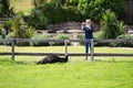 Woman taking photograph of ostrich ,South Africa.