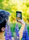 Woman taking photos of purple Lupines on phone on the green grass at sunset Royalty Free Stock Photo