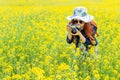 Woman taking photos at a rapeseed flowers.