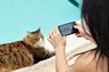 Woman Taking Photos To Cat Royalty Free Stock Photo