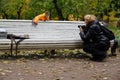 Woman taking a picture of a monkey on a bench