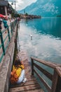 woman taking picture of swans in alpine lake hallstatt on background