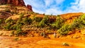 Woman taking a picture of the vegetation on Bell Rock, one of the famous red rocks between the Village of Oak Creek and Sedona Royalty Free Stock Photo