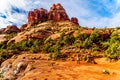 Woman taking a picture of the vegetation on Bell Rock, one of the famous red rocks between the Village of Oak Creek and Sedona Royalty Free Stock Photo