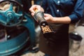 Woman taking sample of fresh beans from coffee roast machine Royalty Free Stock Photo