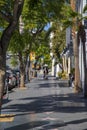 A woman taking selfies with her children on the Hollywood walk of fame surrounded by lush green trees, parking meters