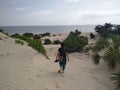 Woman is taking a stroll on a sandy beach. Lamu Island, Kenya Royalty Free Stock Photo