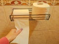 Woman taking toilet paper from roll holder in bathroom, closeup Royalty Free Stock Photo