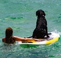 Woman teaches her dog how to surf in the ocean