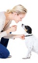 Woman, teaching and studio with jack russell dog for silence, learning and care by white background. Girl, animal or pet