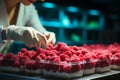 woman technologist working at fruit warehouse checking quality control, food processing factory control