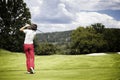 Woman teeing-off golf ball. Royalty Free Stock Photo