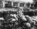 Woman tending flowers in garden Royalty Free Stock Photo