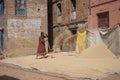 Woman threshing grain Royalty Free Stock Photo