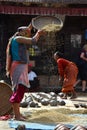 Woman threshing grain in traditional way in Nepal Royalty Free Stock Photo