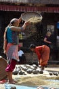 Woman threshing grain in traditional way in Nepal Royalty Free Stock Photo