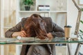 The woman is tired. Young tired woman put her head on the table, tired worker or student sitting exhausted on the table Royalty Free Stock Photo