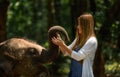 Woman touch elephant with all her heart