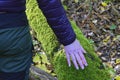 Woman touching a fallen moss covered tree in autumn forest