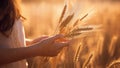 A woman touching the spikelets on the field