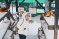 Woman tourist with Cute fox on snow in winter season at Zao fox village, traveler sightseeing Miyagi prefecture. landmark and