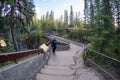Woman tourist explores the trails at Athabasca Falls waterfall and poses for a photo
