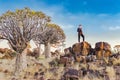 Woman tourist in quiver tree forest, african nature landscape, travel adventure in Namibia, Africa
