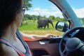 Woman tourist on safari car vacation in South Africa, looking at elephant in savannah Royalty Free Stock Photo