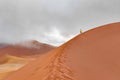 Woman tourist walking on red sand dunes, Sossusvlei, Namib desert, Namibia, South Africa Royalty Free Stock Photo