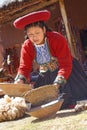 Ollantaytambo, Peru - preparing alpaca dyes. tradition inca Royalty Free Stock Photo