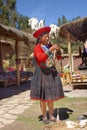 Ollantaytambo, Peru - preparing alpaca dyes. tradition inca Royalty Free Stock Photo