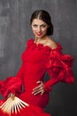 Woman traditional Spanish Flamenco dancer dancing in a red dress Royalty Free Stock Photo