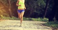Woman trail runner legs running in forest Royalty Free Stock Photo