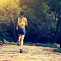 Woman trail runner legs running in forest Royalty Free Stock Photo