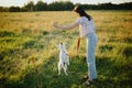 Woman training cute white puppy to behave and new tricks in summer meadow in sunset light. Teamwork