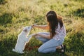 Woman training cute white puppy to behave in summer meadow in warm sunset light. Adorable fluffy puppy giving paw to girl owner