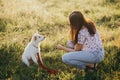 Woman training cute white puppy to behave in summer meadow in warm sunset light. Adorable fluffy puppy looking at girl owner.