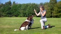 Woman training her dogs with a whistle Royalty Free Stock Photo