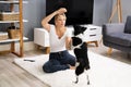 Woman Training And Playing With Pet Dog Royalty Free Stock Photo