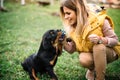 woman training and playing with puppy on grass, in park. Rottweiler dog puppy details Royalty Free Stock Photo