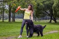 Woman trains briard on glade in park.