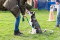 Woman trains with a young husky on a dog training field Royalty Free Stock Photo