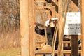 Woman trap shooting range Royalty Free Stock Photo