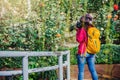 Photographer travel photograph in the rose garden. Travel relax. Multicolored roses beautiful, background blur