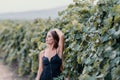 Woman travel winery. Portrait of happy woman holding glass of wine and enjoying in vineyard. Elegant young lady in hat Royalty Free Stock Photo