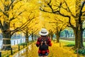 Woman traveler with backpack walking in Row of yellow ginkgo tree in autumn. Autumn park in Tokyo, Japan. Royalty Free Stock Photo